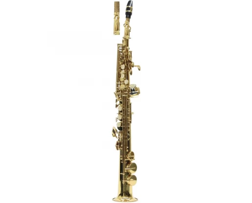 SAXOFON SOPRAN J. MICHAEL SP650-S