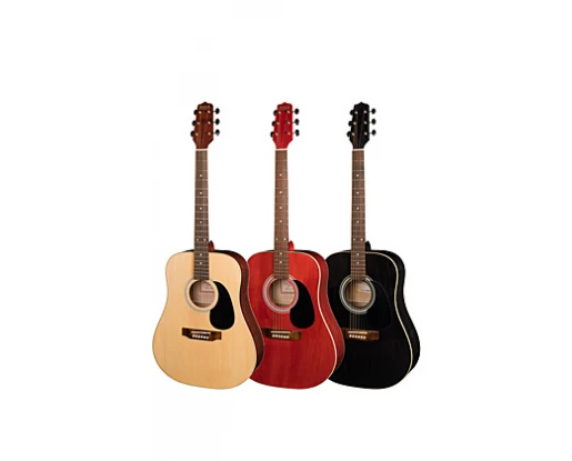 CHITARA ACUSTICA WESTERN 12204 HORA REGHIN