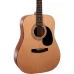 Cort Chitară Acustică AD810 OP