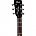 Cort Chitară Acustică AD810 OP