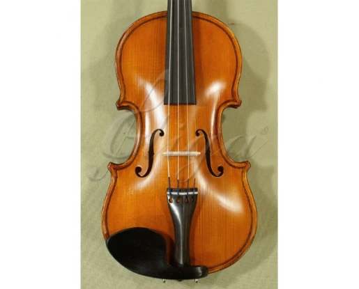 Vioara Gliga 1/10 - Genial 1 S-V110