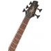 Cort Chitară Electrică Bass C5 PLUS ZBMH TBB