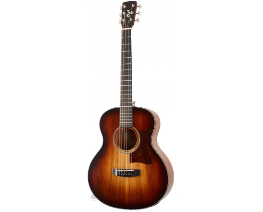 Cort Chitară electro-acustică Little CJ Blackwood OPLB
