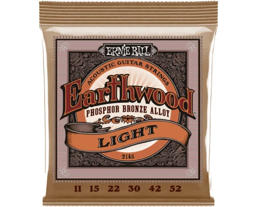CORZI CHITARA ACUSTICA ERNIE BALL EARTHWOOD 2148