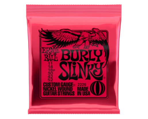 CORZI CHITARA ELECTRICA ERNIE BALL BURLY SLINKY 2226
