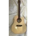 Chitara acustica - Hora Regal 10CE Palisandru
