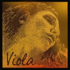 Corzi viola Pirastro - Evah Pirazzi Gold 425021