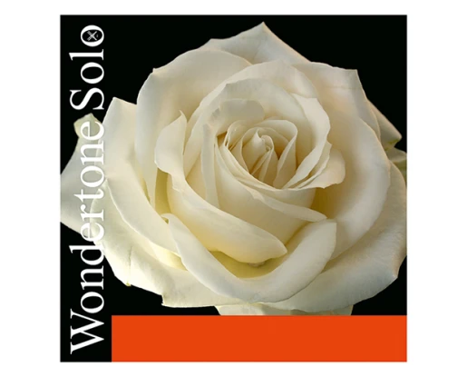 Corzi vioara Pirastro - Wondertone Solo
