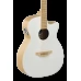 CHITARA ELECTRO-ACUSTICA CU EFECTE INCORPORATE APPLAUSE JUMP BLANK CANVAS