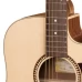 CHITARA ELECTRO-ACUSTICA SM55 HORA