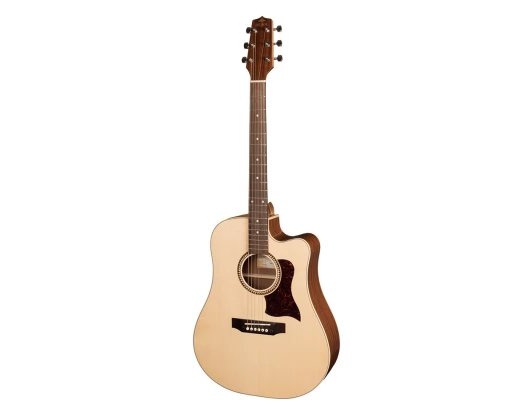 CHITARA ELECTRO-ACUSTICA SM55 HORA