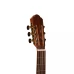 CHITARA CLASICA SM 601 HORA REGHIN