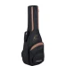 ORTEGA CHITARA NATURAL CEDAR R122SN