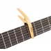 ORTEGA CAPODASTRU MAPLE TWCAPO-MAD