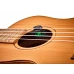 ORTEGA ACORDOR OCST-1BK