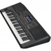 YAMAHA PSR SX900