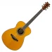 Yamaha chitara electro-acustica - Transacustic LS-TA, Vintage 