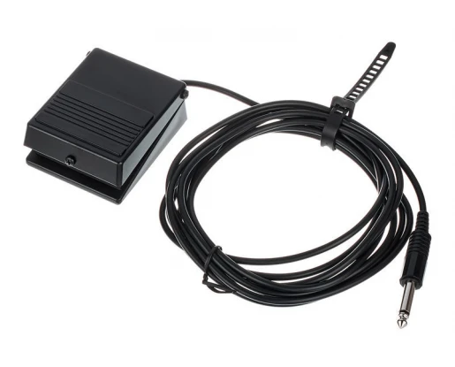 ROLAND DP 2 SUSTAIN